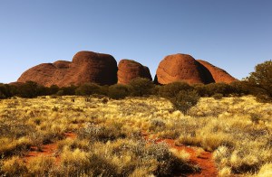 Kata Juta - The Olgas