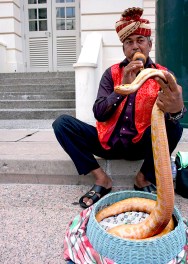 Snake Charmer W