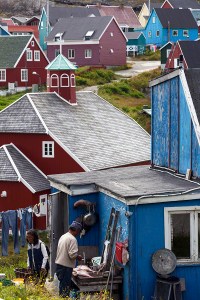 Local Inuit Family Preparing Freshly Caught Fish in Their Backya