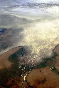 Patterns of an Aerial Tree - Flooded River